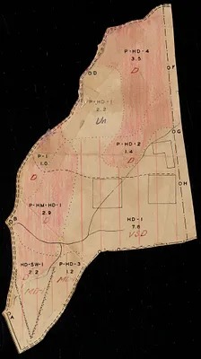 Tom Swamp Compartment II 1938 hurricane damage map