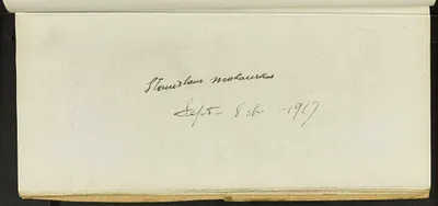 p. 50