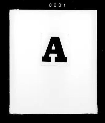 p. 4