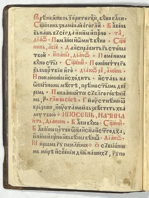 p. 16
