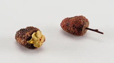 p. 2