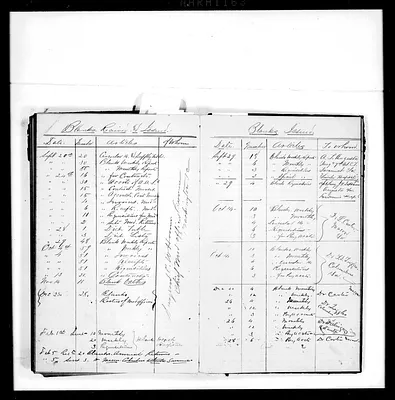 p. 42