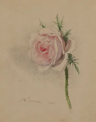 p. 1