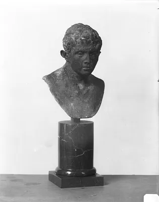 Bust of a Young Man