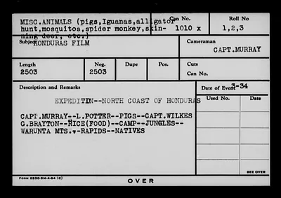 p. 31