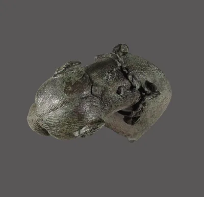 p. 5