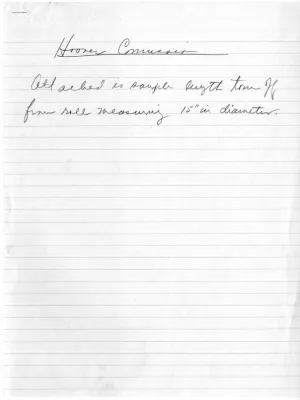 p. 49