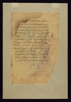 One of Four Leaves from the Arabic Version of Dioscorides' De materia medica