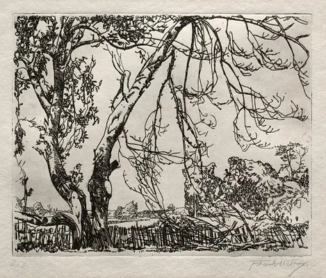 Apple Tree