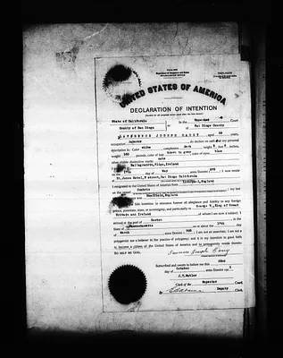 p. 29