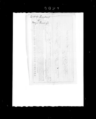 p. 31