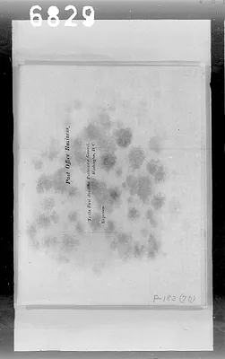 p. 59