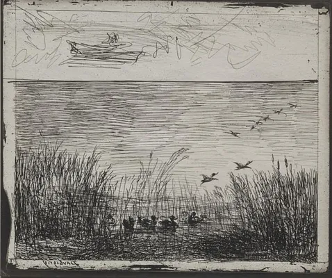 Swamp with Ducks