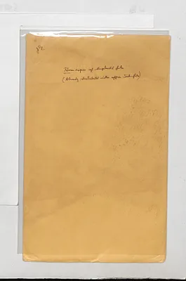 p. 4
