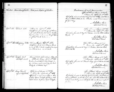 p. 31