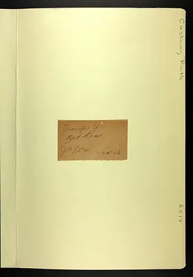 p. 7