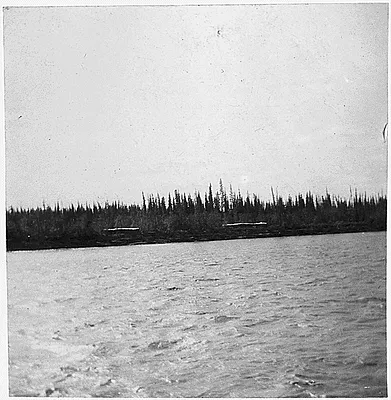 River, forest in background.