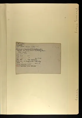 p. 6