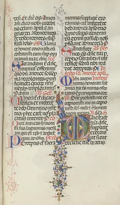 Missale: Fol. 260: Foliage with Fruit