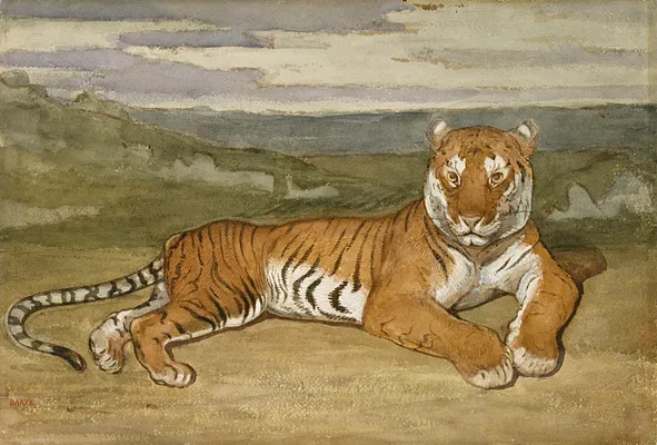 Tiger at Rest