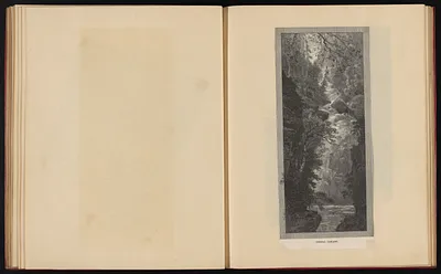 p. 45