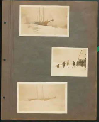 p. 7