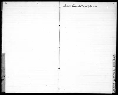 p. 7