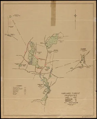 Harvard Forest Compartments and Properties