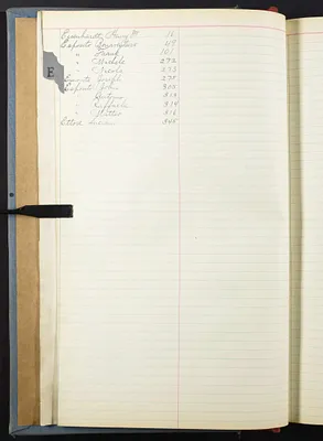 p. 6