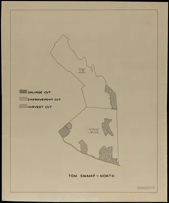 Forest operations, Tom Swamp North