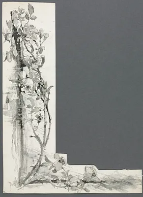 Flower Study