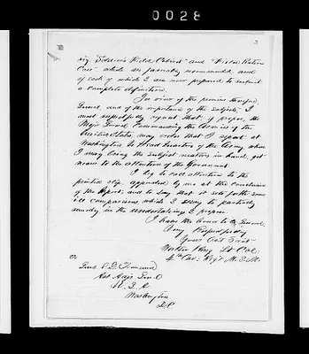 p. 31