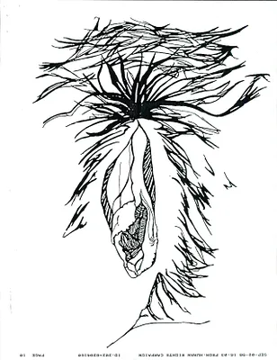 p. 44