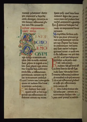 Initial ""S"" (Senior Gaio)