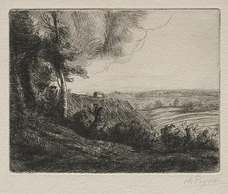 Landscape