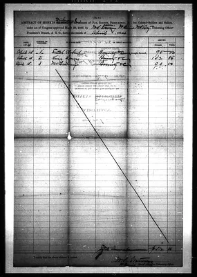 p. 8