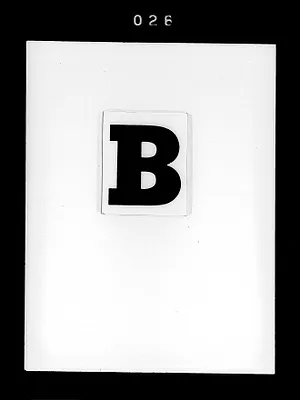 p. 29