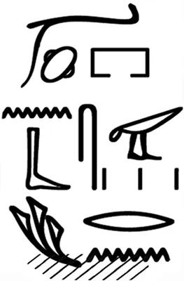 p. 5