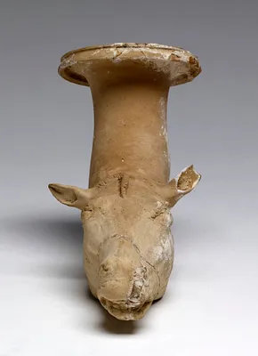 Rhyton in the Form of a Horse's Head