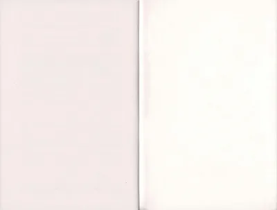 p. 31