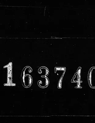 (Roll 15) Declarations of Intention Vols. 86-87; 1914-1915
