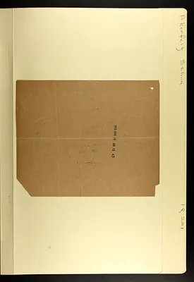 p. 19