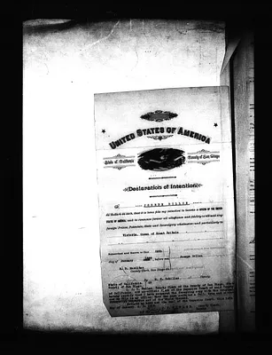 p. 43
