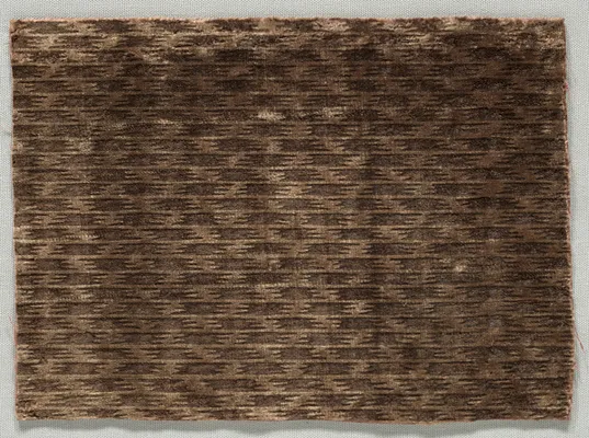Velvet Fragment