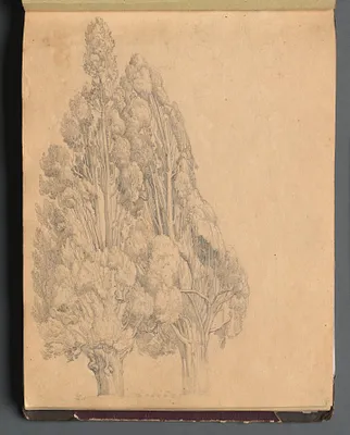 Album with Views of Rome and Surroundings, Landscape Studies, page 13a: Trees