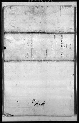 p. 7