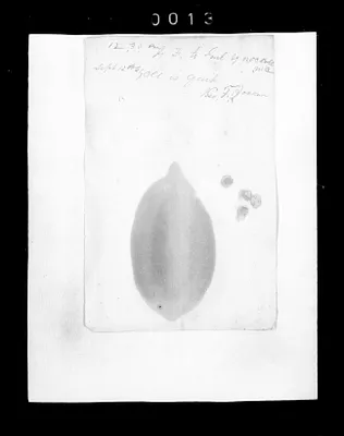 p. 25