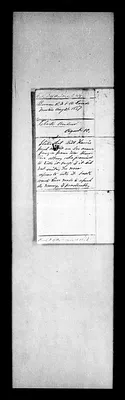 p. 43