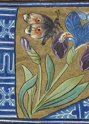 p. 2