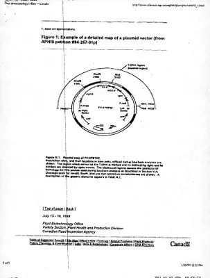 p. 30